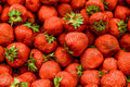 Fresh Strawberries