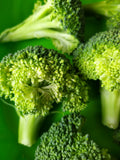 Fresh Broccoli