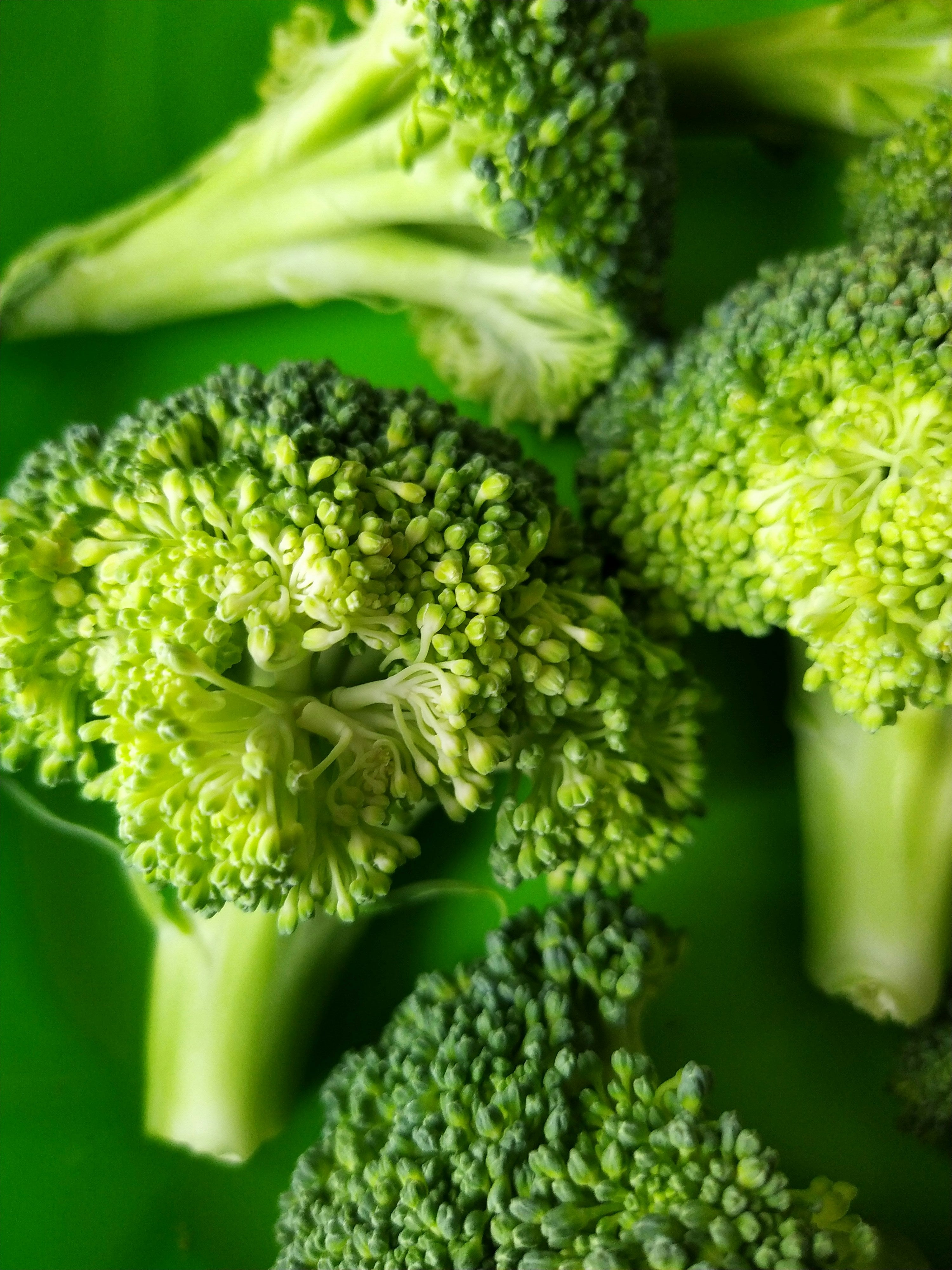 Fresh Broccoli